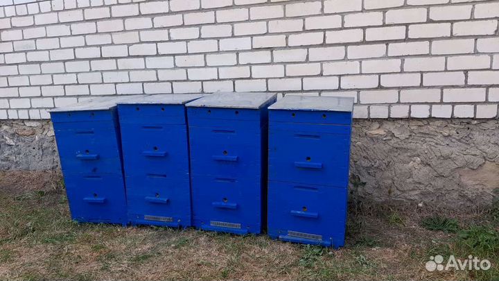 Улей для пчел