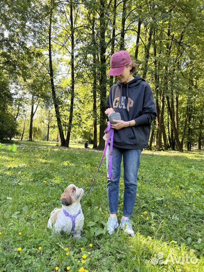 Передержка и ситтинг собак