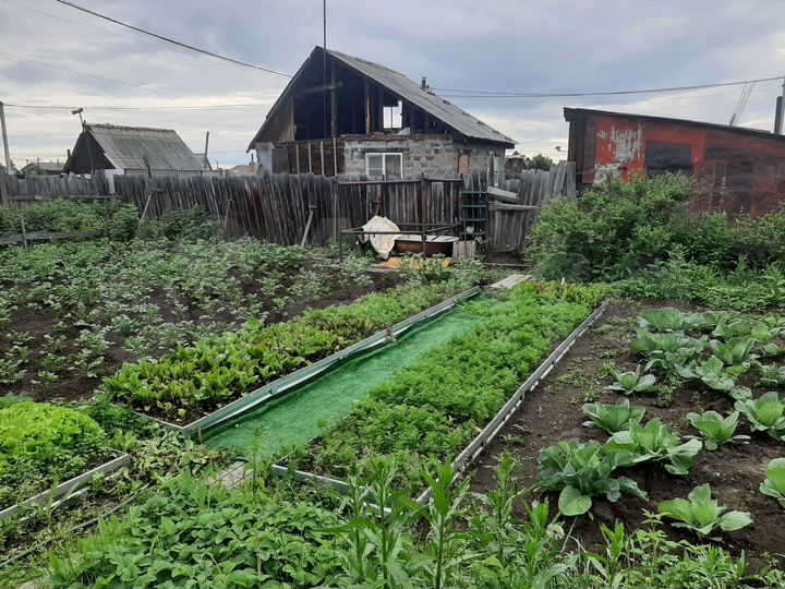 Дача 20 м² на участке 8 сот.