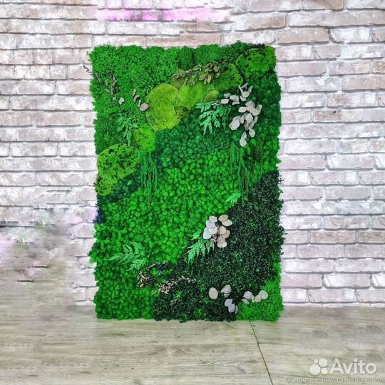 Мох стабилизированный оптом и в розницу