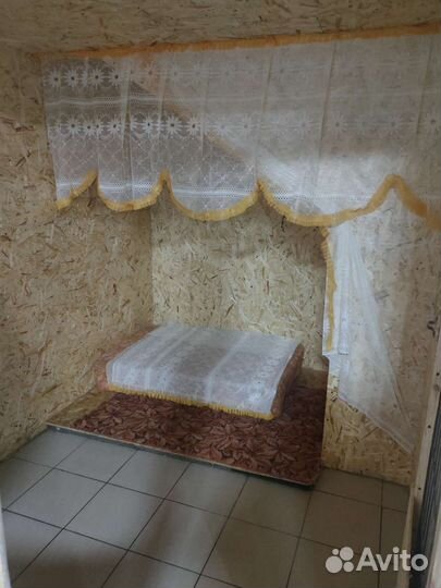 Домашняя передержка собак