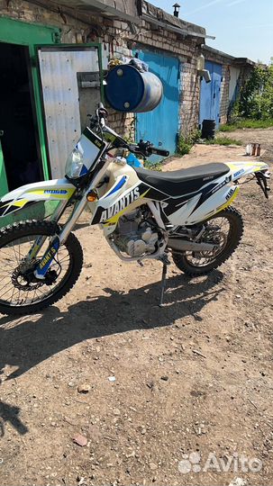 Авантис fx250lux