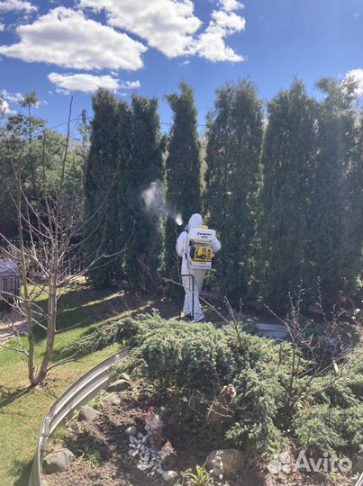 Обработка Уничтожение Клопов Тараканов Клещей