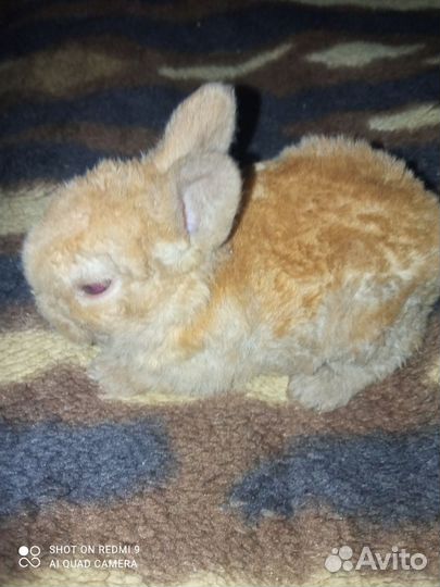 Милашки девочки