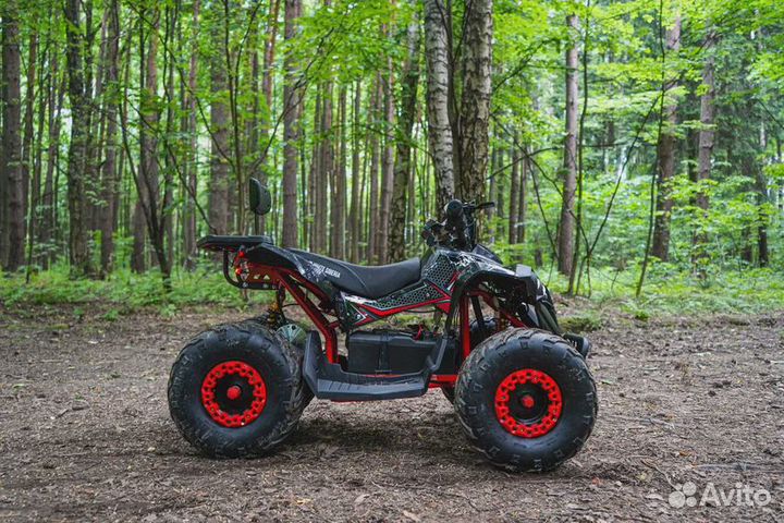 Электроквадроцикл WS Sneg R 1500W N E W 2023