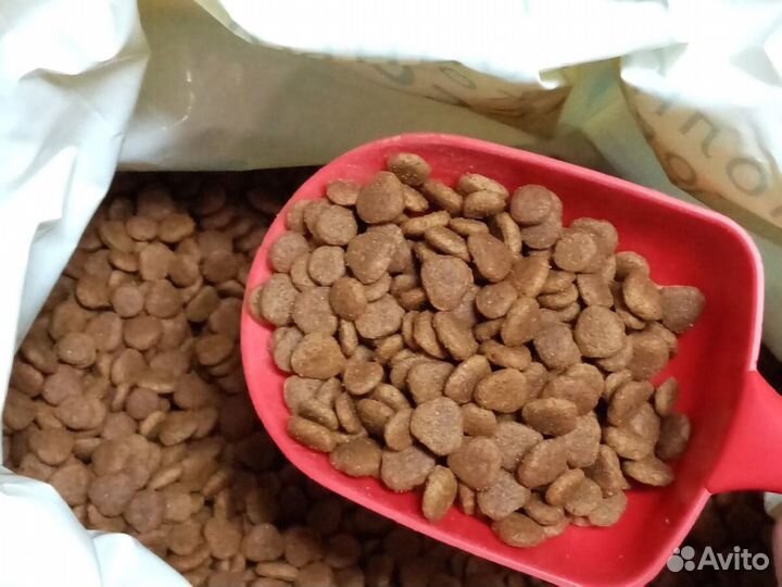 Собачий корм 35% мяса