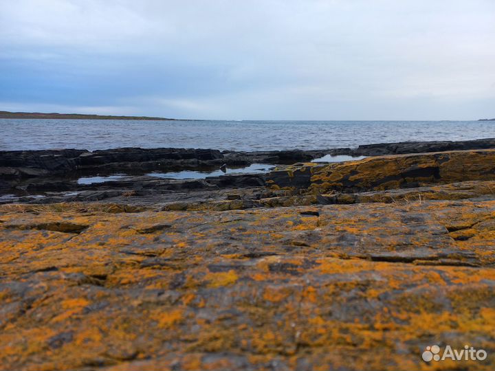 Туры на Рыбачий