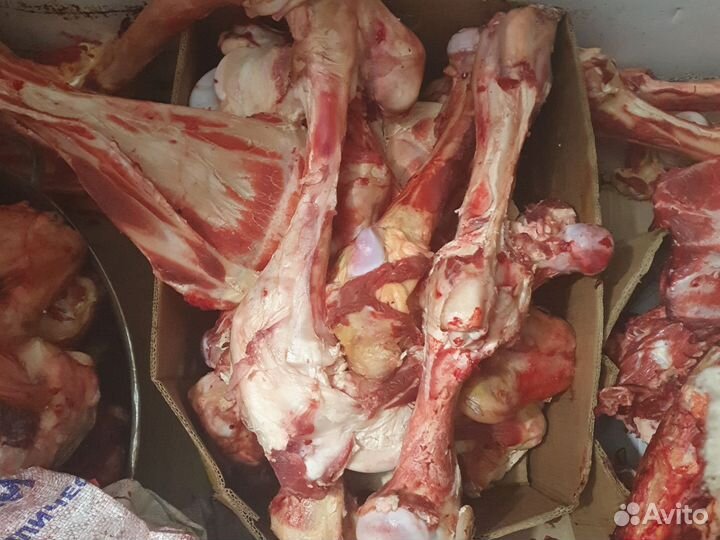 Свежий кости Говяжий