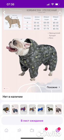 Комбинезон для мопса бульдога Lucky Dog M