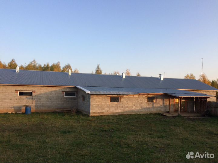Продажа здания