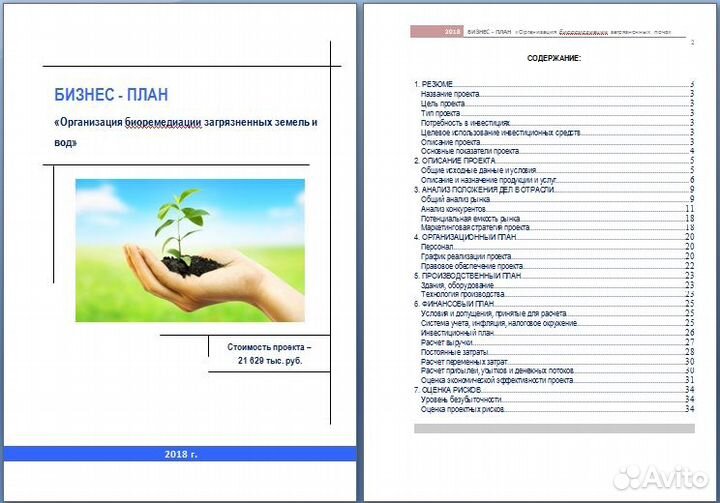 Бизнес-планы, фин. модели, тэо, презентации