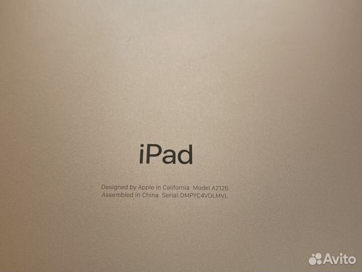 iPad mini 5 256gb cellular