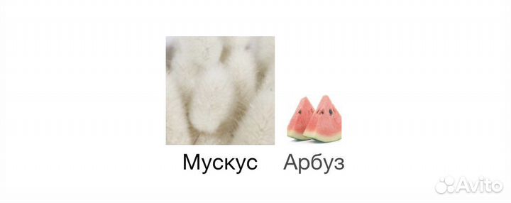 Оригинал zarkoperfume Menage A Trois