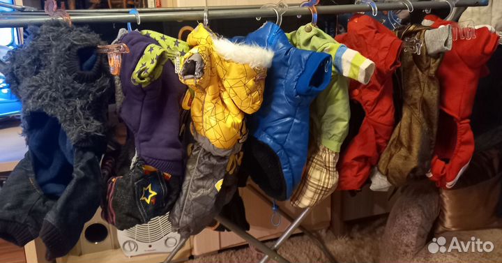 Одежда для собак мелких пород