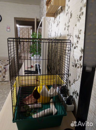 Клетка для грызунов