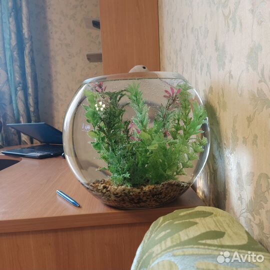 Аквариум с грунтом и искус растениями шар 15л