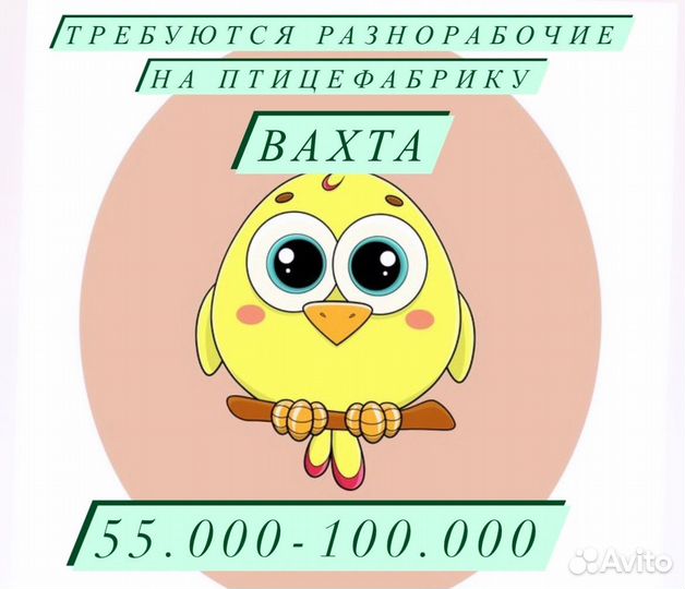 Разнорабочий вахтой на птицефабрику