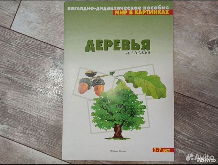 Мир в картинках