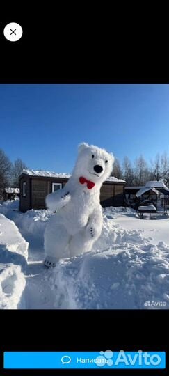 Поздравления от Белого Мишки