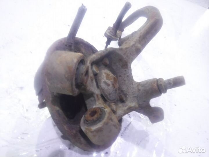 Кулак задний правый