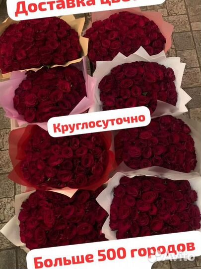 Розы 25/51/101 Казань