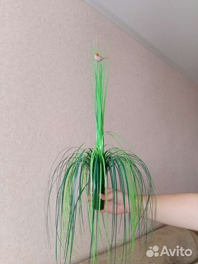 Игрушка поющая птица