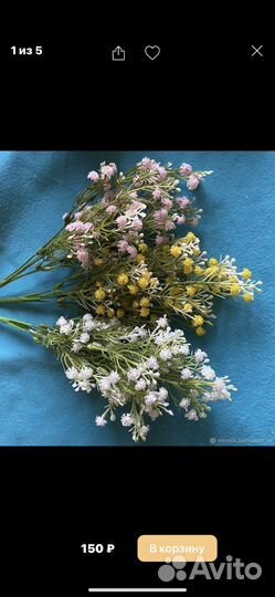 Подснежники,Мимоза,Нарциссы,Сакура