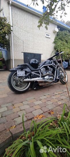Harley Davidson v rod
