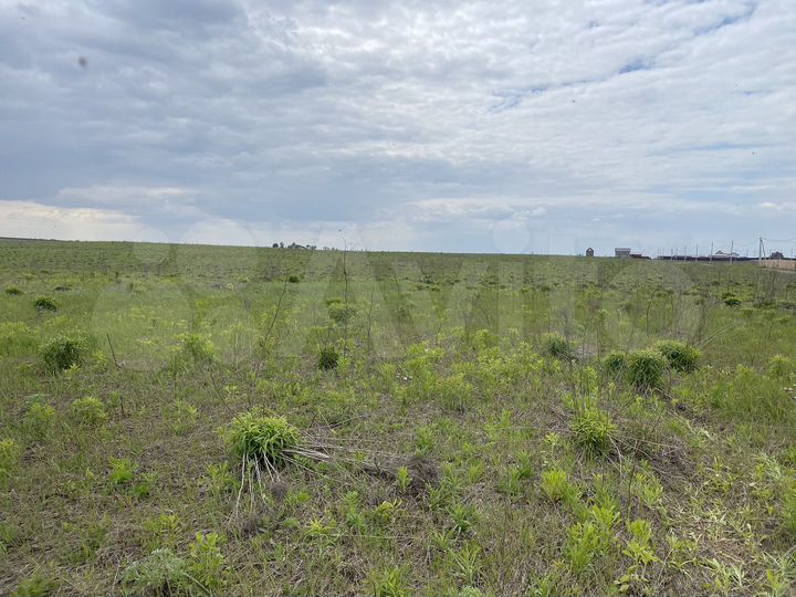 Участок 4,2 га (ИЖС)