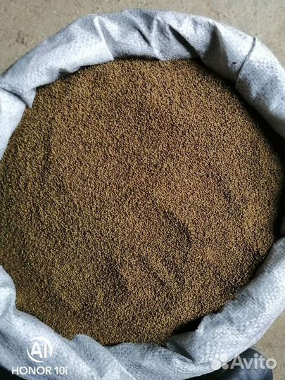 Семена люцерна