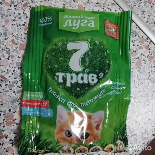 Травка для кошек