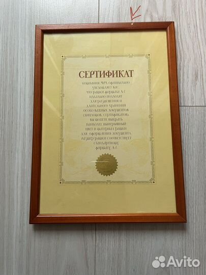 Рамки для фото