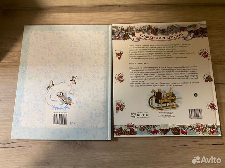 Зимние сказки Два брата и Волшебные санки