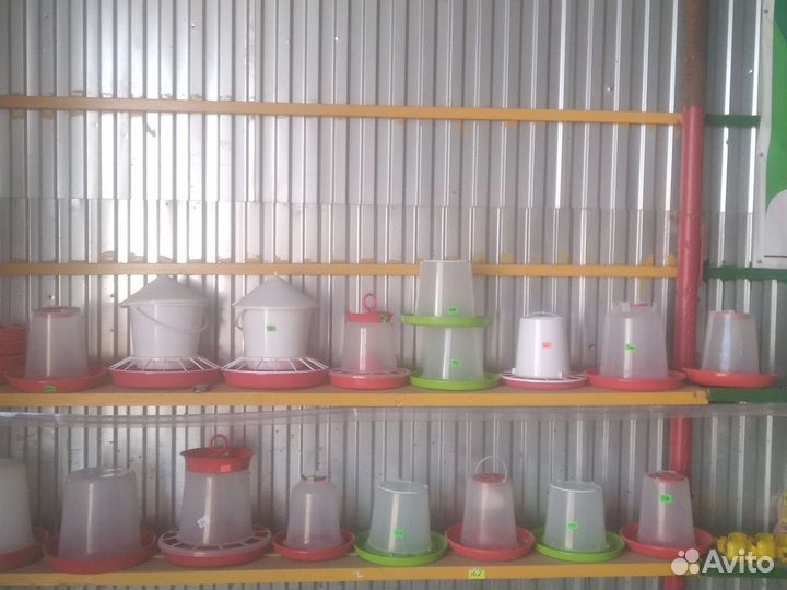 Кормушки и Поилки для птиц