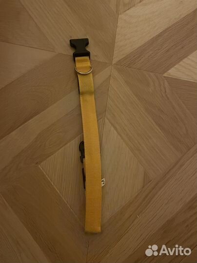 Ошейник светящийся