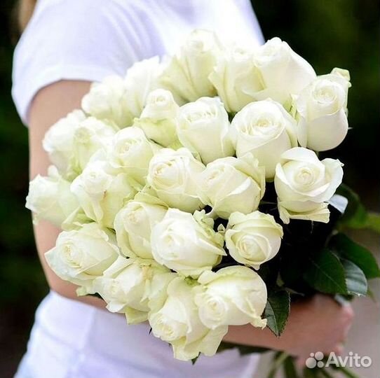 Высокие розы