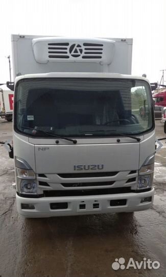 Isuzu ELF (N-series) изотермический, 2022