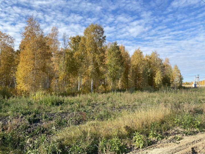 Участок 15,1 сот. (СНТ, ДНП)