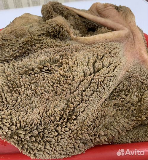 Рубец натуральный, неочищеный на кррм животным