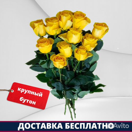 Розы Эквадор - 11 шт. 70 см