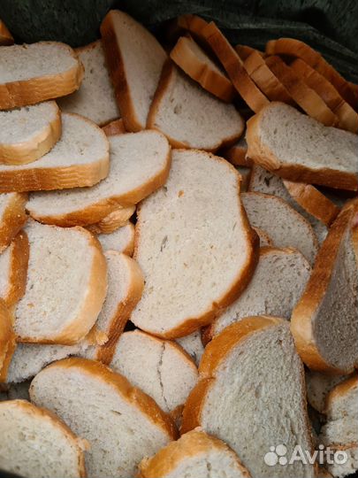 Хлеб на корм животным