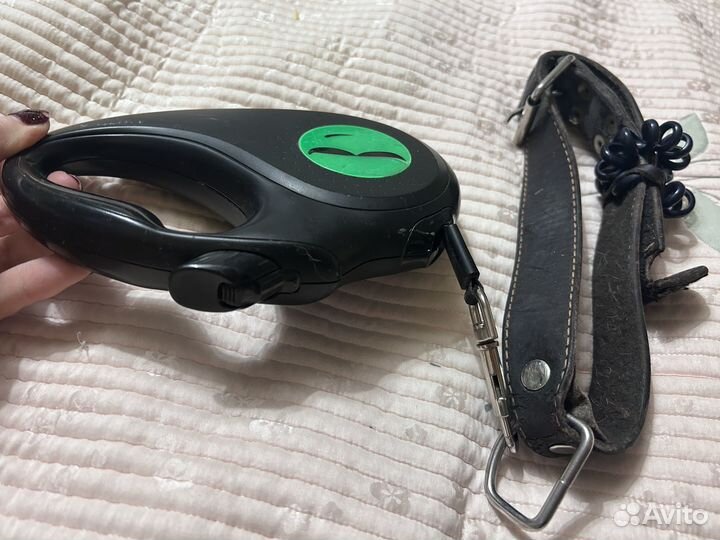 Поводок для собак