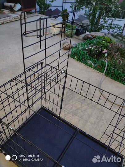 Клетка для собак аренда