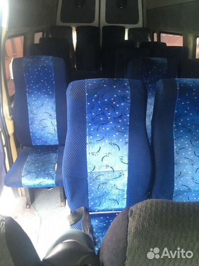 Пассажирские перевозки, трансфер, аренда авто