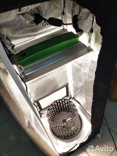 Гроутент Гроубокс