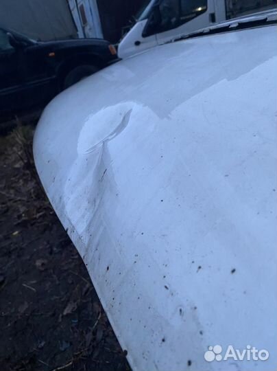 Бу капот на ford transit 2013 г