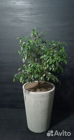 Кашпо, Вазоны, Горшки под заказ из бетона арт 164