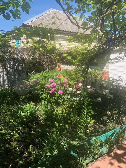 Дом 98 м² на участке 16,6 сот.