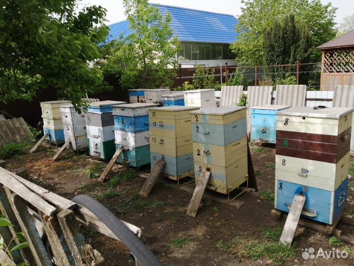 Продам ульи для пчел с пчелам