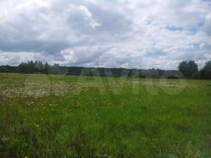 Участок 3,6 га (ИЖС)